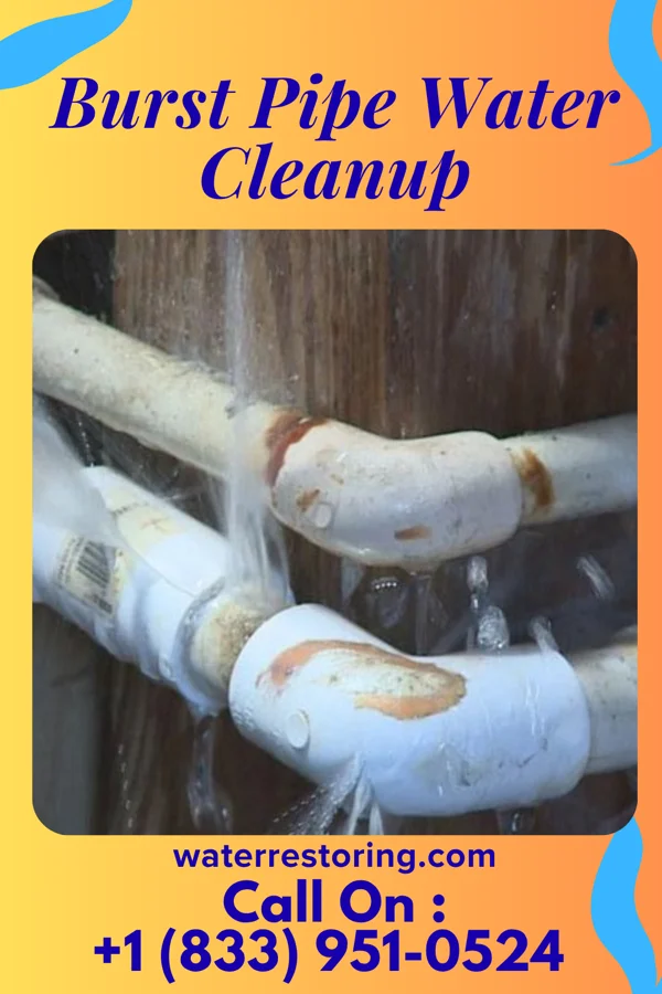 Burst Pipe Water Cleanup in Jonesville, MI