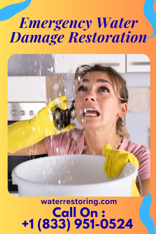 Emergency Water Damage Restoration in Jonesville, MI